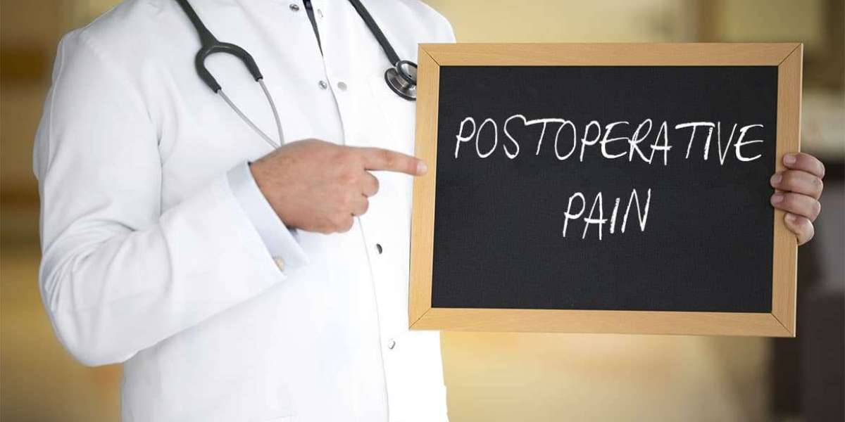 Is the Postoperative Pain Therapeutics Market Poised for a $23 Billion Boom by 2033?