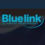 Blue Link Profile Picture