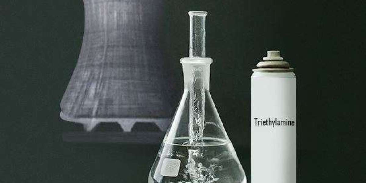 Triethylamine Prices, News, Trend, Graph, Chart, Forecast and Historical