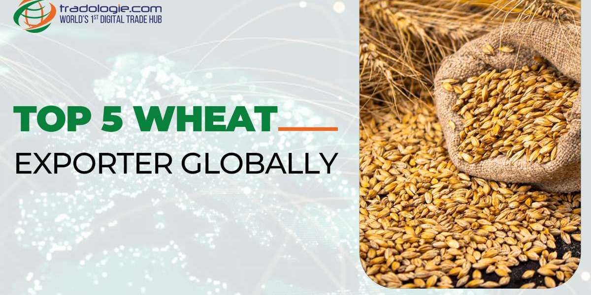 Top 5 Wheat Exporters Globally