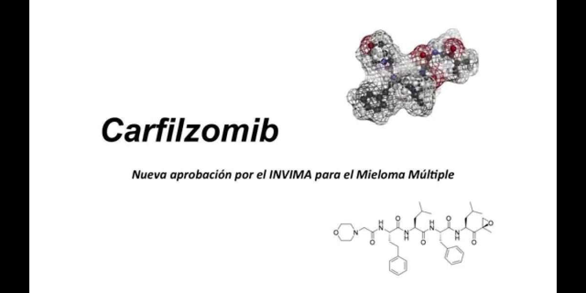 Carfilzomib Market by Cancer, Therapy & Distribution Channel: Global Forecast 2024-2034