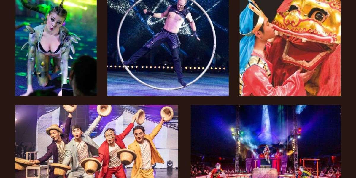 Zirkus Sarrasani Dresden Ticket Options for VIP Experiences