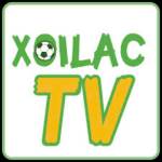 Xoilactv ad Profile Picture