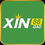 Xin88 Profile Picture