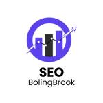 SEO Bolingbrook profile picture