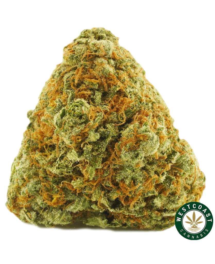 Buy Sativa Weed Online - Best Sativa Cannabis Strains Canada