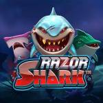 razorsharkslot Profile Picture