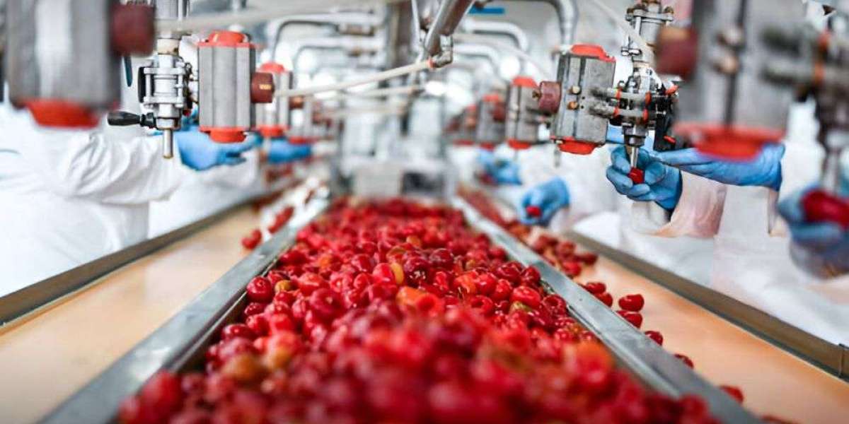 Food & Beverage Processing Equipment Market Is Likely to Enjoy a Tremendous Growth