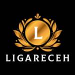 ligareceh27 Profile Picture