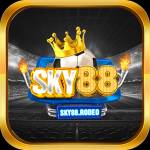 SKY 88 Profile Picture