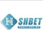 SHBET org mx Profile Picture