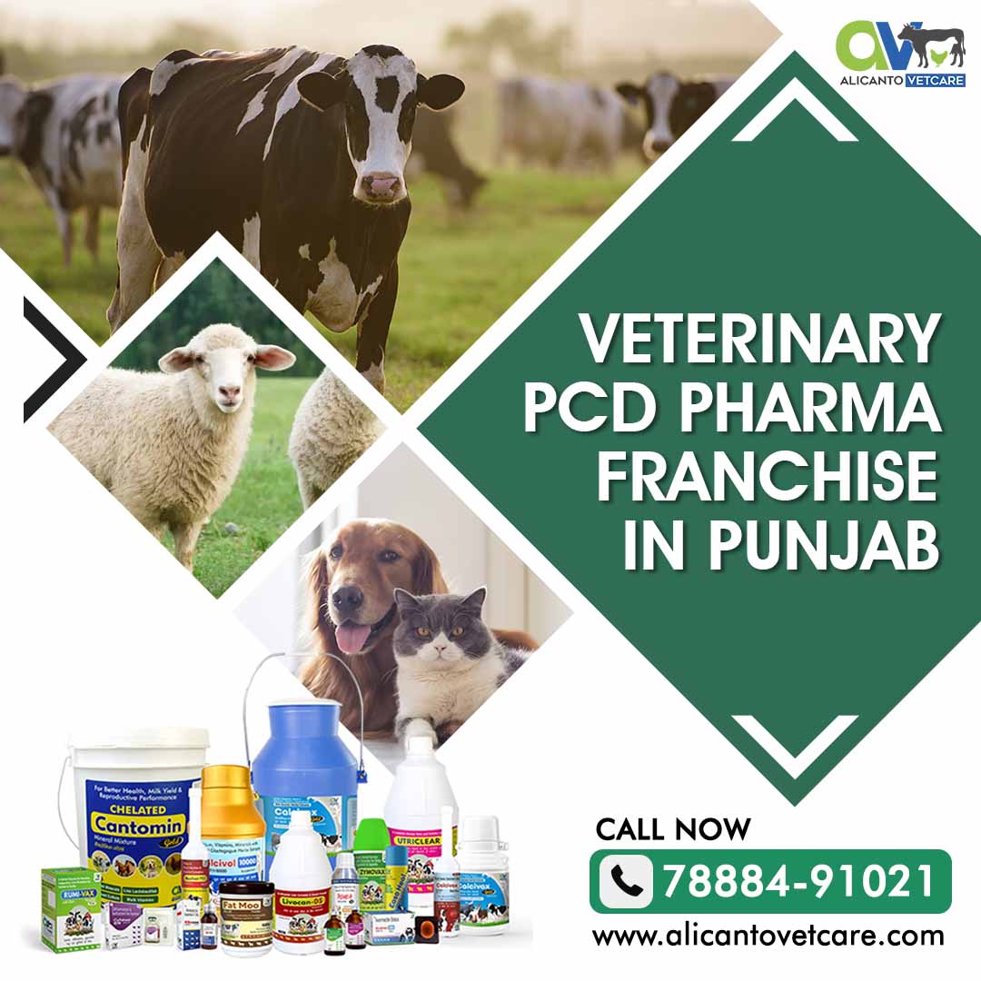 Veterinary PCD Pharma Franchise in Punjab - Alicanto Vetcare