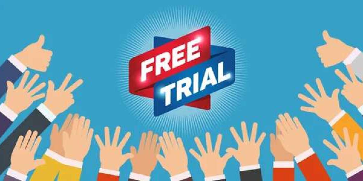 Take Advantage Of Free Trial Seo Services - Read These Eight Tips