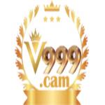 Cổng game V999 Profile Picture