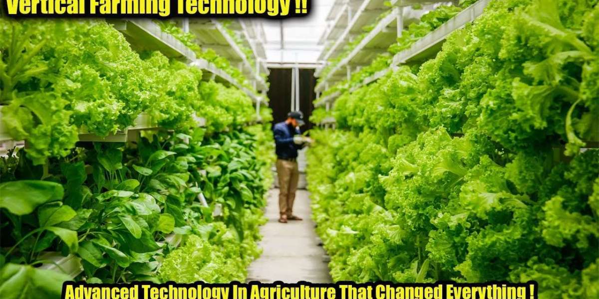 Sustainable Agriculture: The Role of Vertical Farming in the Future