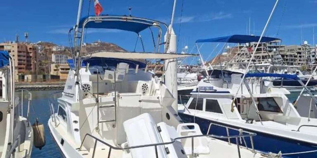 Cabo Fishing Charters: Experience Mexico’s Best Sportfishing