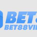 bet88 vipwiki Profile Picture