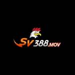 SV388 Mov Profile Picture