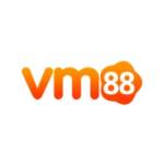 vm881com Profile Picture