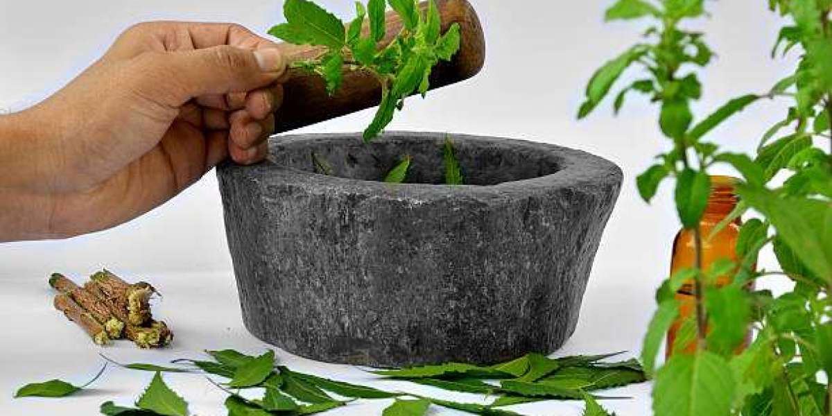 Neem Extract Market Trends and Forecast 2032: Demand, Growth, and Key Players