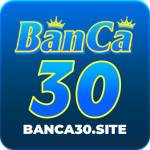 Banca30 Profile Picture
