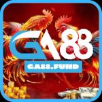 GA88 Profile Picture