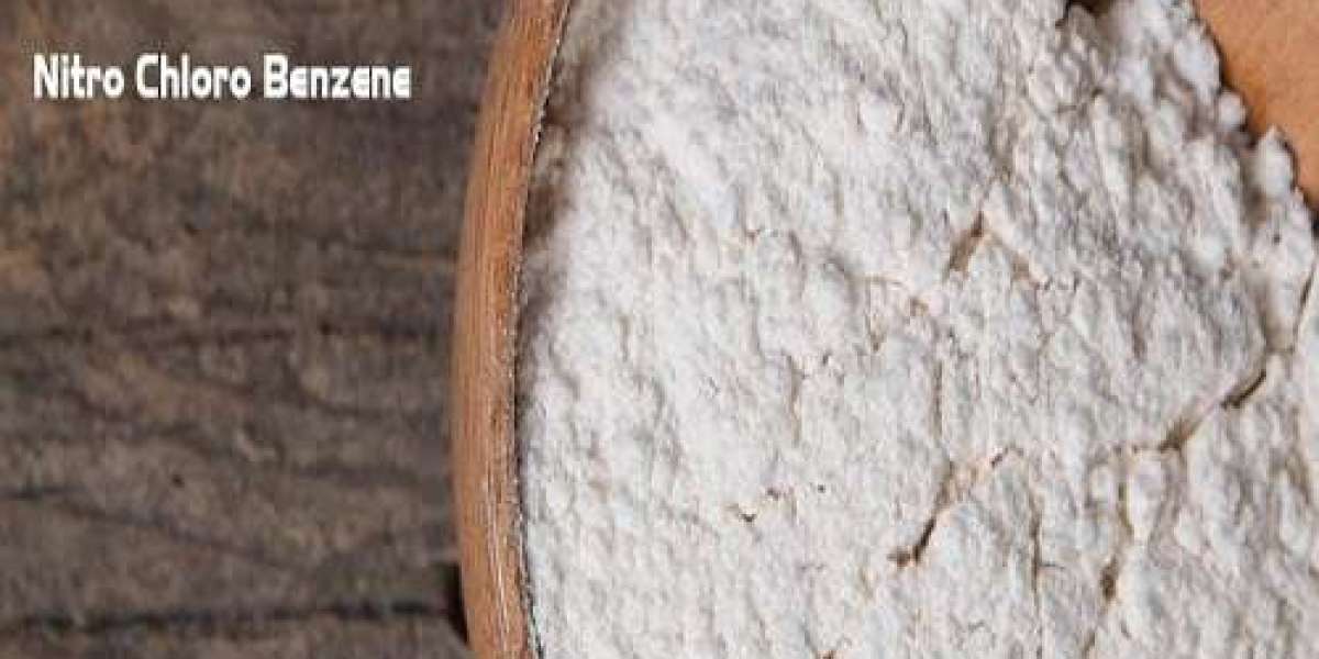 Nitro Chloro Benzene Prices Trend: For the Quarter Ending December 2024