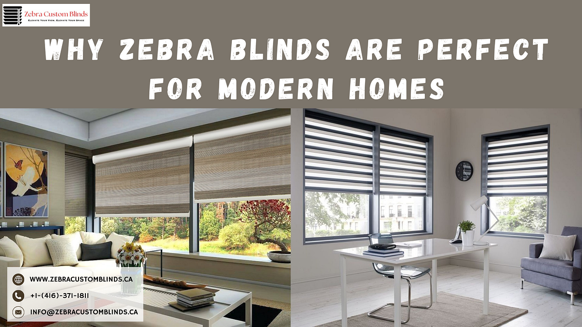 Why Zebra Blinds Are Perfect for Modern Homes | by Zebra Custom blinds | Jan, 2025 | Medium