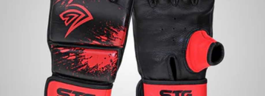 Boxing gloves and pads Cover Image