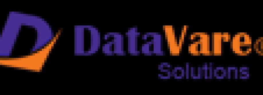 DataVare Split vCard Software Cover Image
