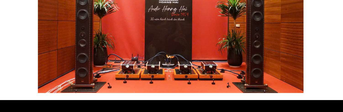 Hoàng Hải Audio Cover Image