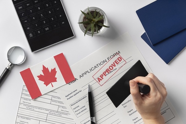 Best Immigration Consultant in Kitchener: Why Do You Need Them?