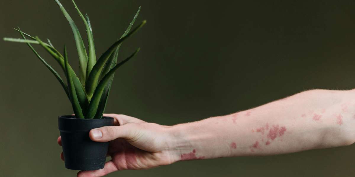 Unlocking Natural Healing with Desert Harvest Aloe Vera and Soothing Solutions for Intimate Wellness