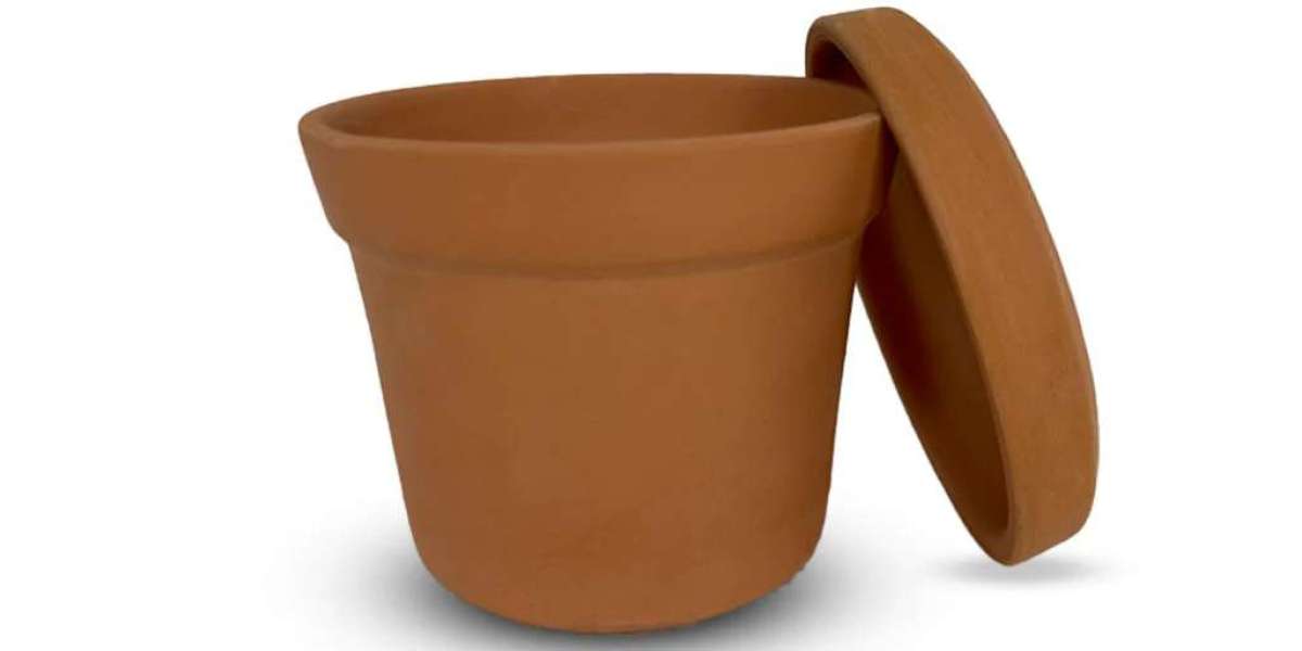 Why Cone Flower Pots Are the Next Big Trend in Home Gardening?