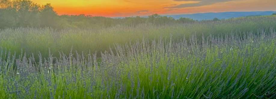 Pearson Farm Cover Image