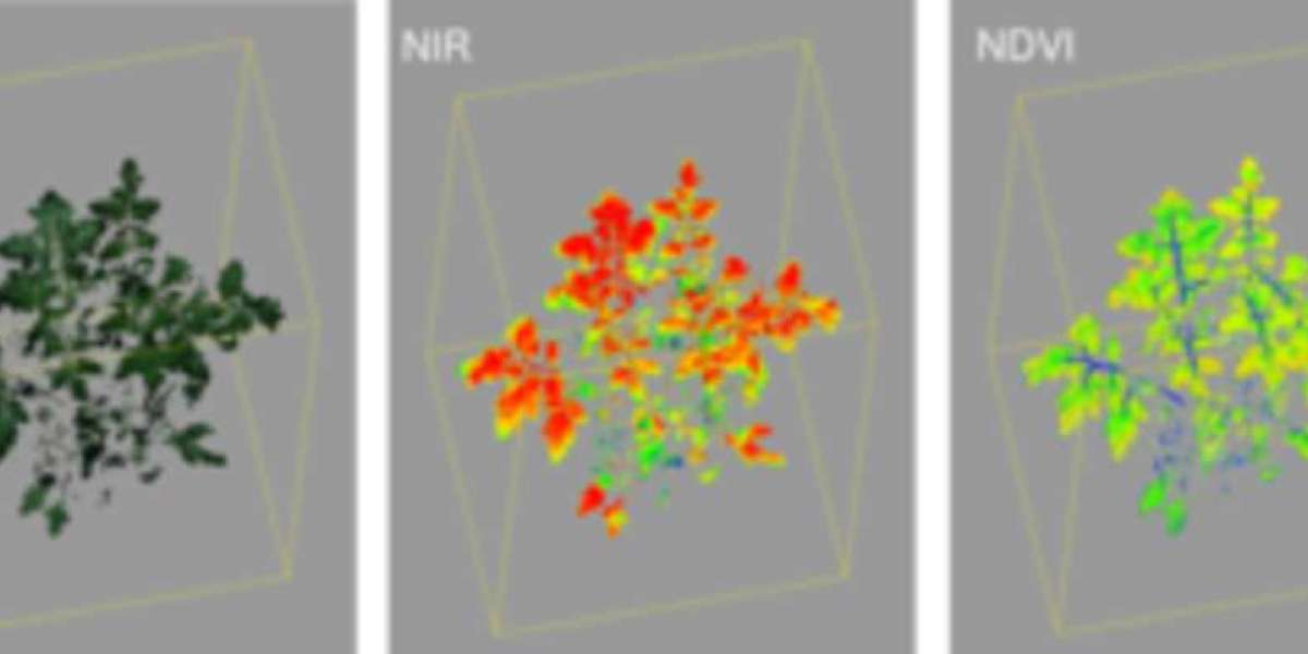 Plant Phenotyping Market to Achieve USD 497.4 Million by 2033