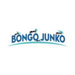 Bongo Junko Junk Removal Downtown Houston Profile Picture