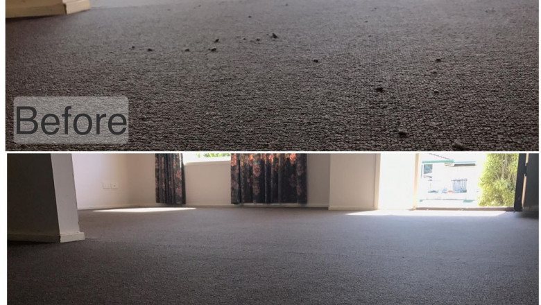 The many advantages of seeking professional carpet repair services | Times Square Reporter