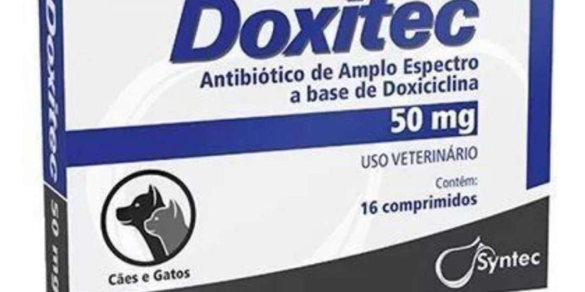 Cortisol nos Pets: Entenda a Importância da Avaliação para a Saúde do Seu Amigo Fiel