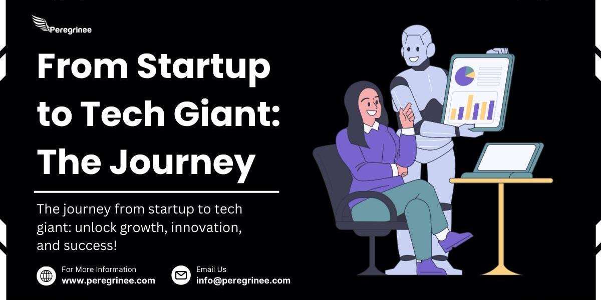 From Startup to Tech Giant: The Journey