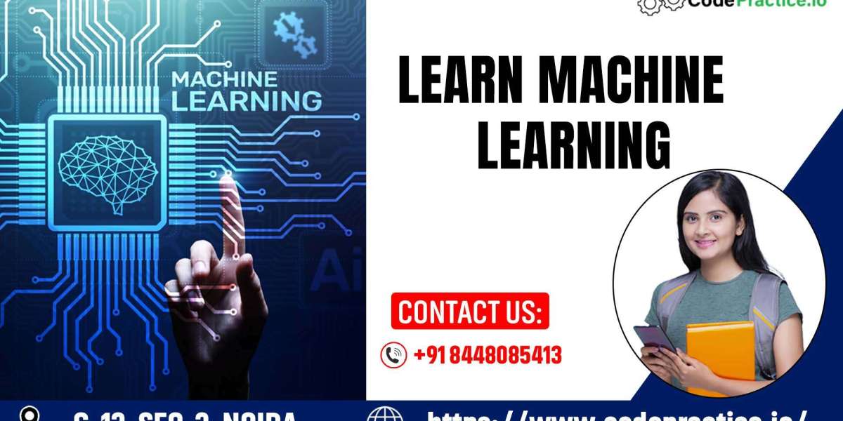 Your Path to Success: Learn Machine Learning the Right Way