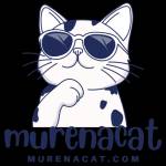 murena cat Profile Picture