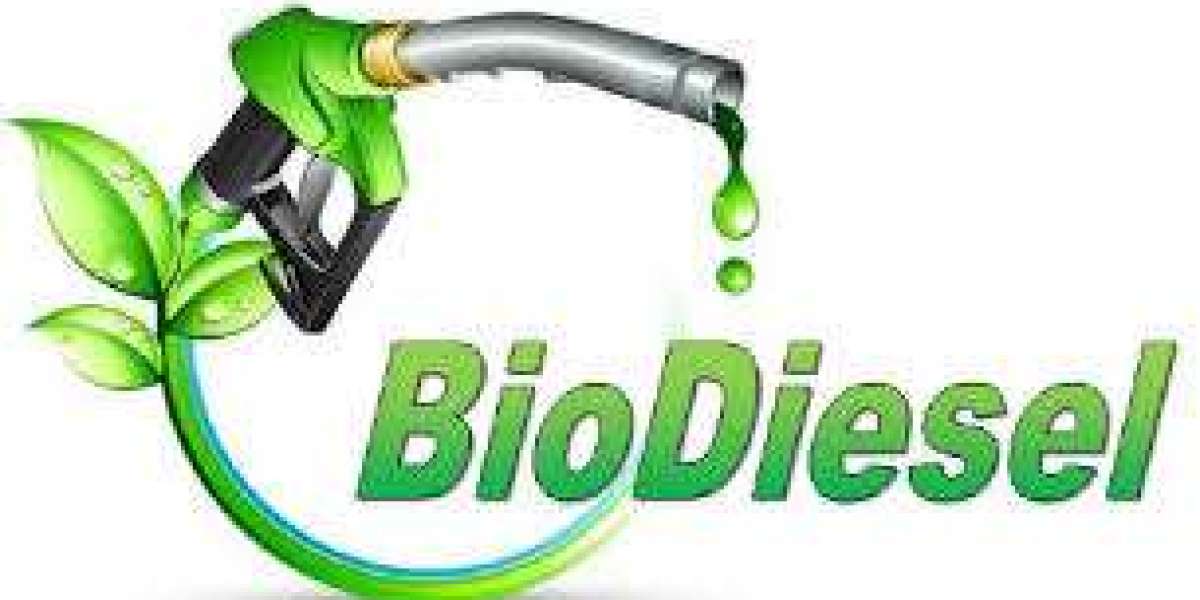 Global Biodiesel Market Expands as Governments Push for Cleaner Fuels