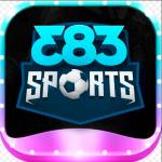 383sports Profile Picture