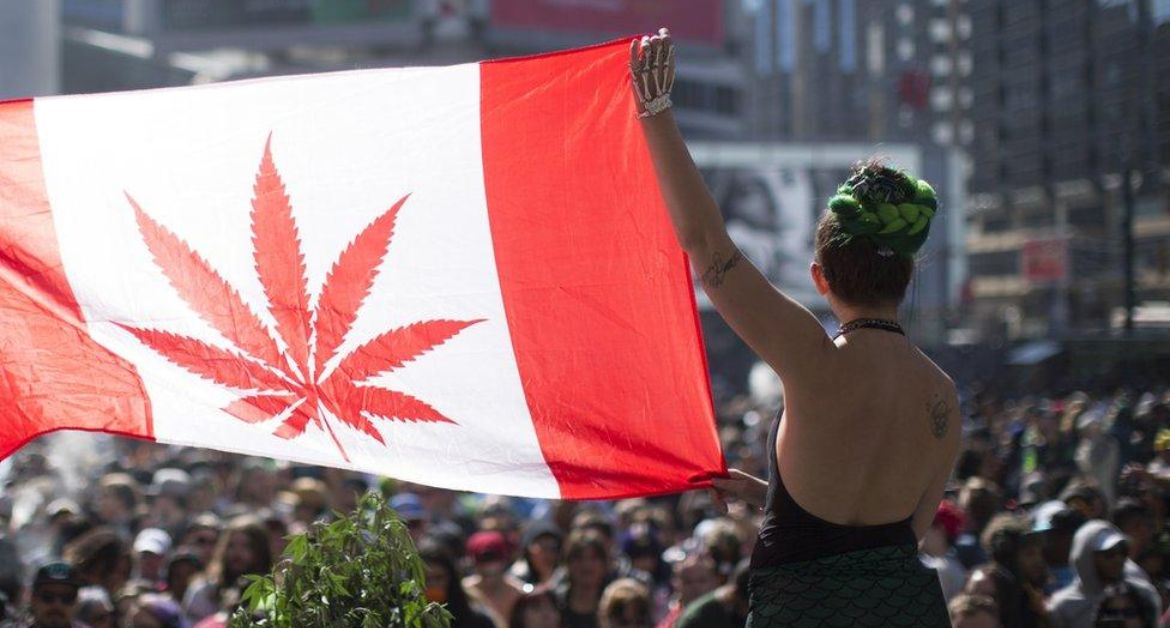 Top 5 Reasons Why You Should Buy Canadian Weed Online Today