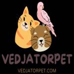 vedjator pet Profile Picture
