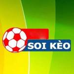 Soi Kèo Best Profile Picture
