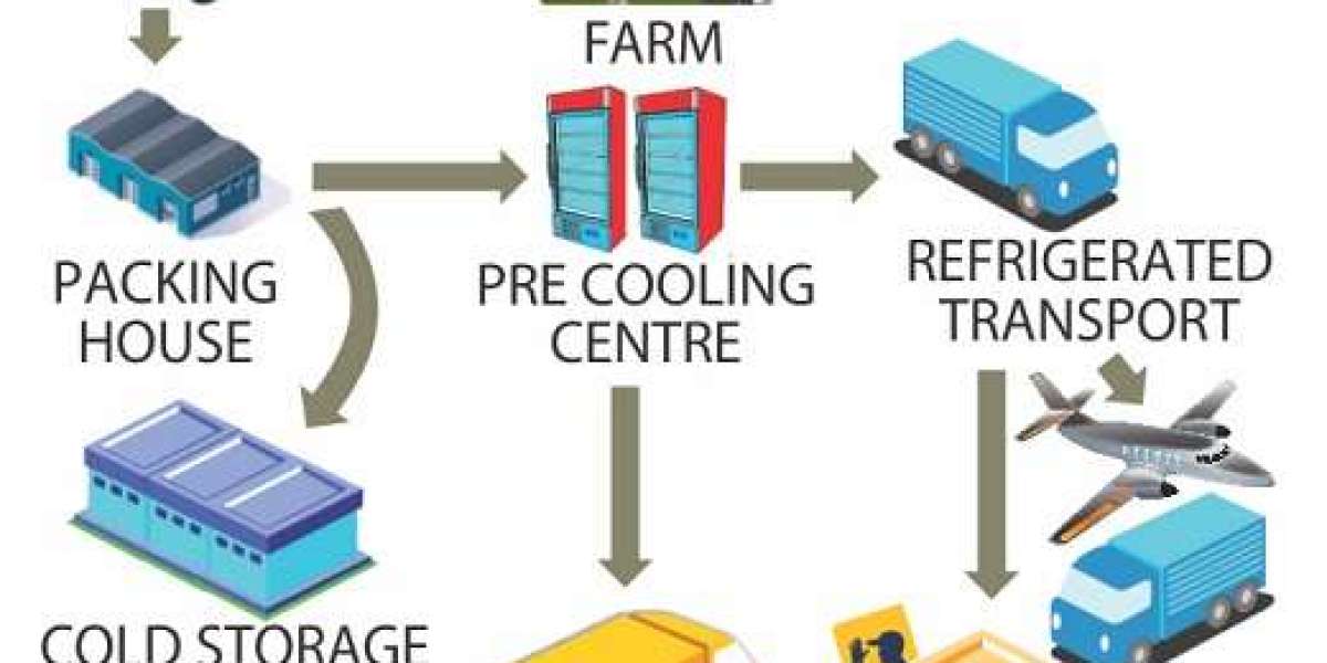 Cold Chain Logistics Market Booms as Demand for Temperature-Controlled Storage Rises