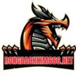 Rồng bạch kim 666 Profile Picture