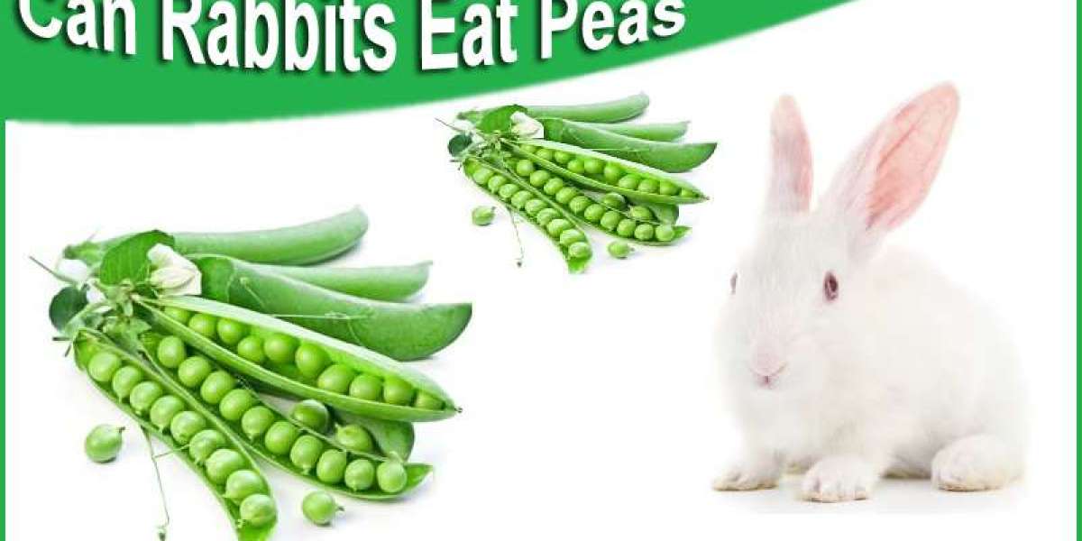 Are Peas Safe For Rabbit?